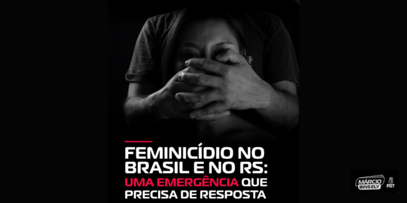 projeto de lei contra violencia da mulher de marcio bins ely
