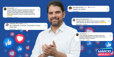 trabalho de marcio bins ely